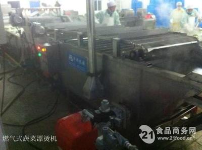 2015节能环保 华邦牌漂烫机引领果蔬加工新潮流